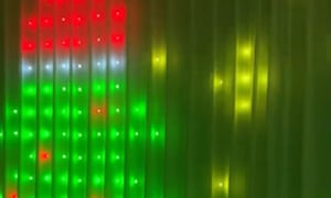 pt-da37e219b4b3-w300.jpg