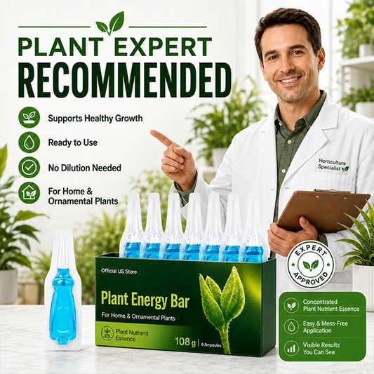 Official US Store  chayegu® Plant Energy Bar